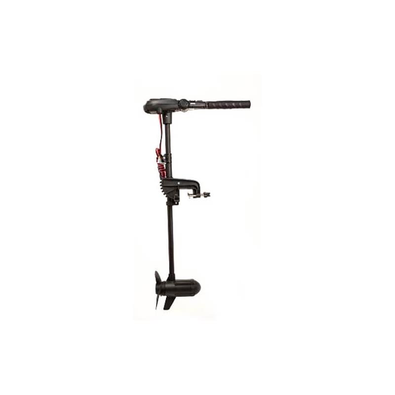 MOTEUR HASWING PROTRUAR 2.0 85LBS 12V